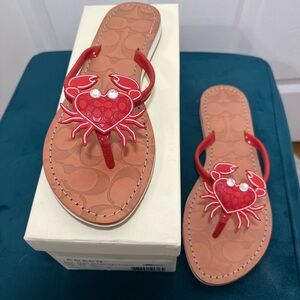 NIB Coach Marina Crab Sandals